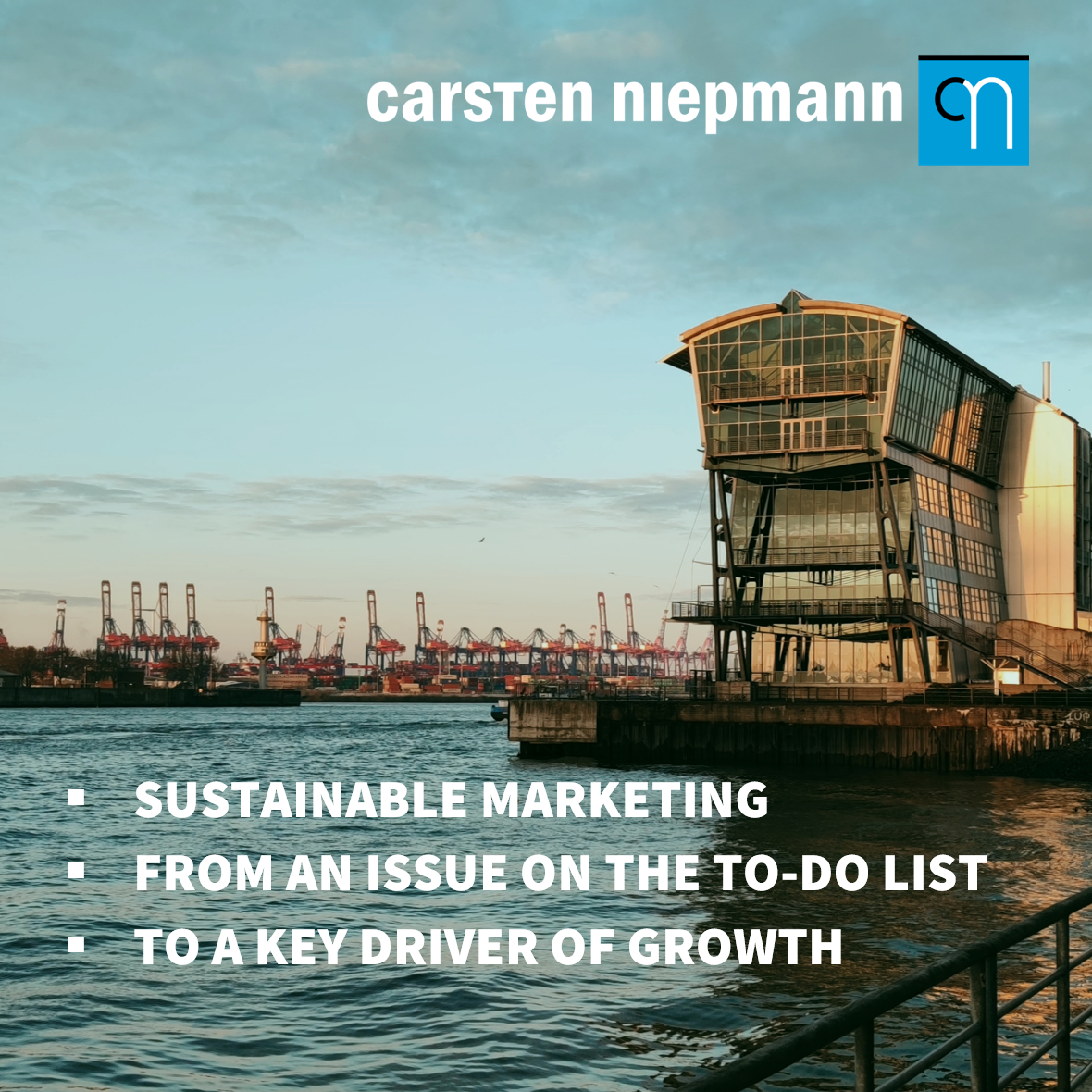 Niepmann: Sustainable Marketing - Building a Better Future for Brands